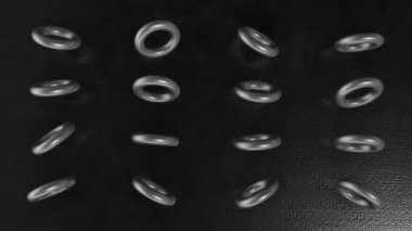  Torus dönen modeli