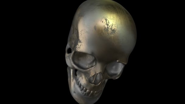 Model Human Skull Isolated Black Screen Alpha Channel — Stock Video