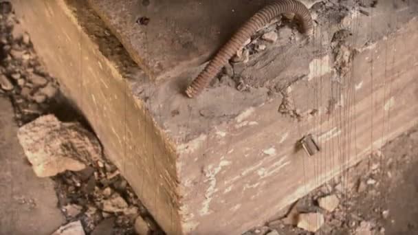 被毁和被遗弃的旧油罐架 — 图库视频影像