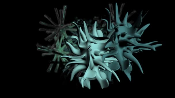 Voler rapidement à travers le cerveau 