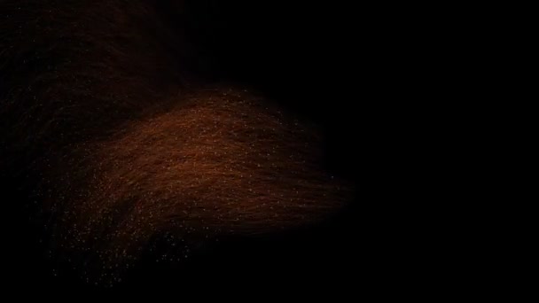 Animație Particulele Zboară Încet Fundal Negru Redare Canal Alpha — Videoclip de stoc