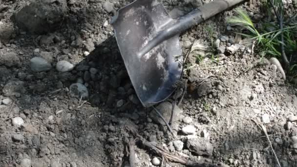 Used Dig Ground Shovel Gardener Tools — Stock Video