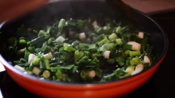 Cocinar Con Cuchara Madera Revolviendo Cebolla Picada Freír — Vídeos de Stock