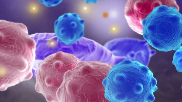 Раковые Клетки Высокой Детализацией — стоковое видео