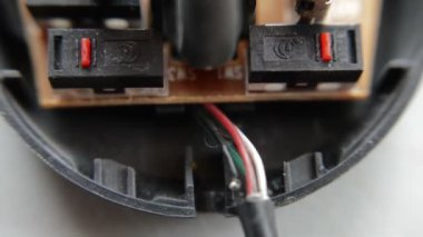 Bilgisayar Faresinin İç Görünümü 