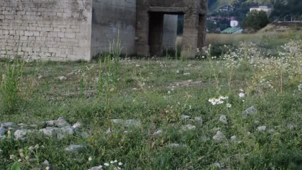 Antiguo Interior Iglesia Arruinada Ruinas Espeluznantes — Vídeo de stock