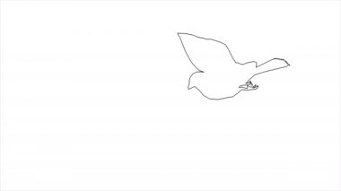 Kuş serçesinin 4k animasyonu beyaz ekranda ayrılmış uçan siluettir.