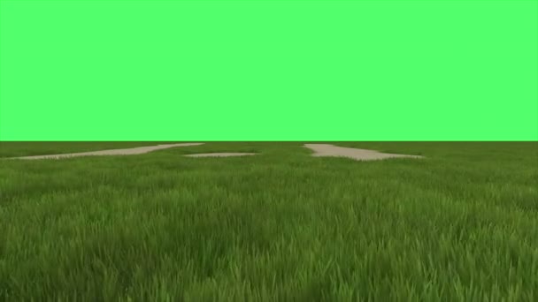 Animation Green Field Green Screen Background — Stock Video