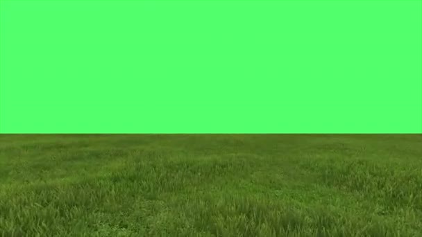 Animazione Del Campo Verde Sullo Schermo Verde Background — Video Stock