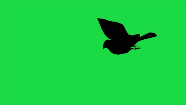 Kuş Serçesinin Animasyonu Yeşil Ekran Üzerinde Ayrılmış Uçan Siluettir — Stok video