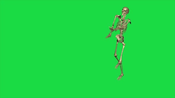 Skeleton Exercise Karate Separate Green Screen — Stock Video