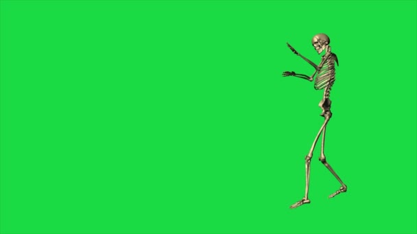 Skeleton Exercise Karate Separate Green Screen — Stock Video