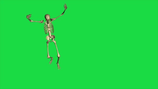 Skeleton Παράδοση Ξεχωριστή Πράσινη Οθόνη — Αρχείο Βίντεο