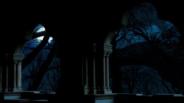 Plein Lever Lune Travers Les Nuages Sur Ciel Nocturne Bleu — Video