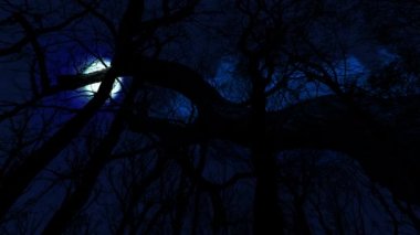 Dolunay Bulutların Arasında Karanlık Mavi Gece Gökyüzünde