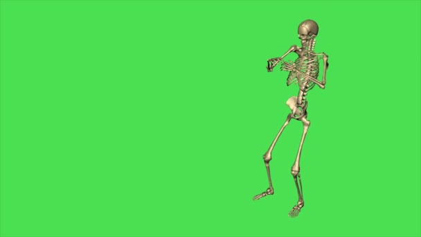 Dürbünlü Skelet Saati Yeşil Ekranda Ayır — Stok video