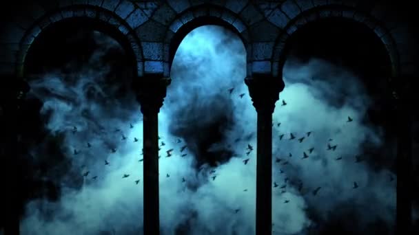 Zwerm Vogels Door Wolken Donkerblauwe Nachtelijke Hemel — Stockvideo