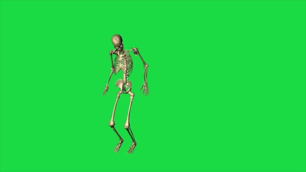 Skeleton Jump Leap Separate Green Screen — Stock Video