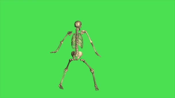 スケルトンジャンプ跳躍 緑の画面で分離 — ストック動画