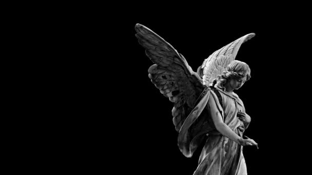 黒い背景に翼を持つ女性天使のアニメーション — ストック動画