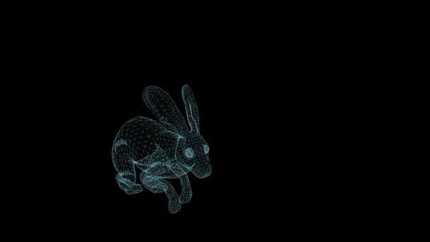 Drahtrahmen Animation Von Kaninchen Auf Schwarzem Hintergrund — Stockvideo