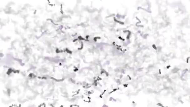 Animatie Bacteriën Zwemmen Vijverwater — Stockvideo