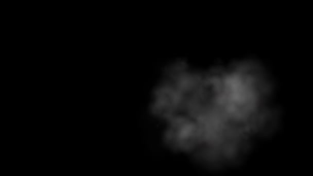 Abstract Smoke Cloud Smoke Slow Motion Black Background White Smoke — Stock Video