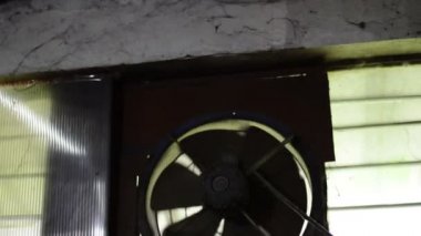 Duvardaki Vintage Industrial Old Fan