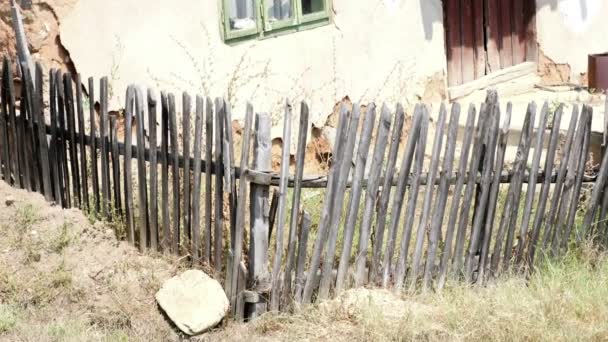 Valla Madera Vieja Cubierta Con Liquen Clavos — Vídeos de Stock