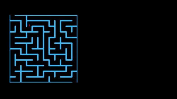 Animation Maze Possible Solution — Stock Video