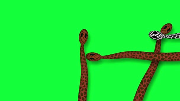Serpents Rampant Contre Écran Vert Animation — Video