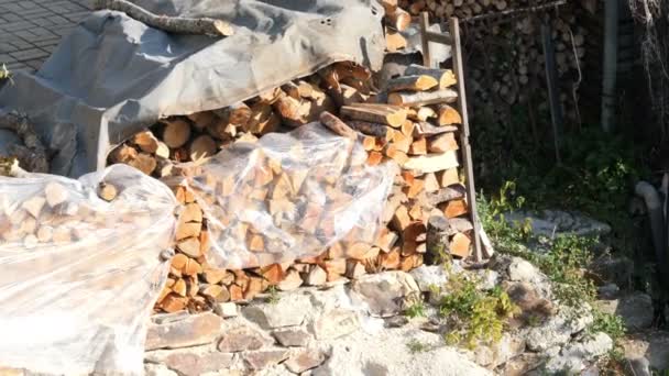 Hromada Sekaného Dřeva Připraveného Zimu — Stock video