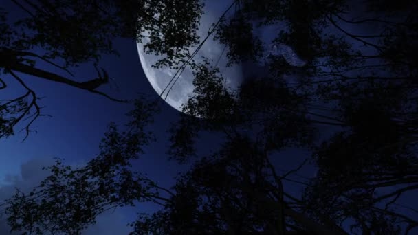 Filmik Animacji Latającej Wielkiej Amerykańskiej Sowy Rogatej Przerażającą Noc Pełnią — Wideo stockowe