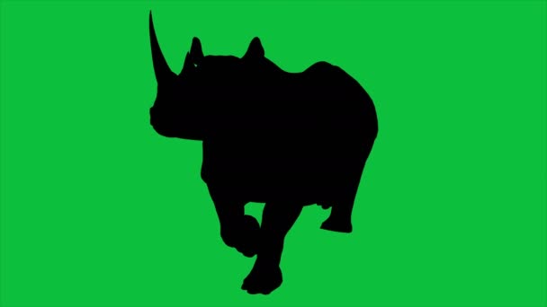 Animatie Rhino Wandelingen Het Groene Scherm — Stockvideo