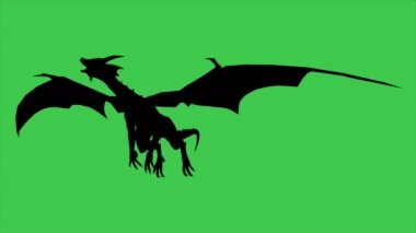 Dragon in Fly Silhouette 'in 3D animasyonu - yeşil ekranda ayrıldı