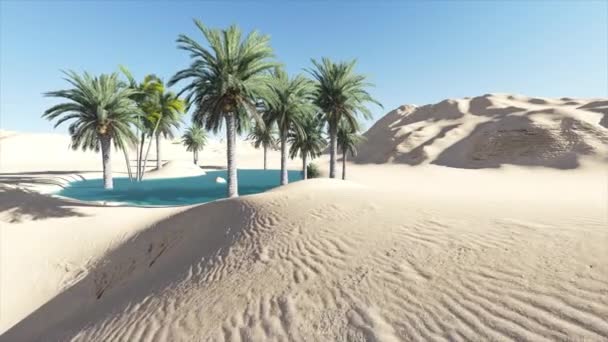 Animation 4k de l'oasis dans un désert avec du soleil chaud en arrière-plan