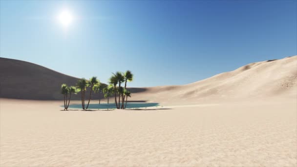 Animation 4k de l'oasis dans un désert avec du soleil chaud en arrière-plan