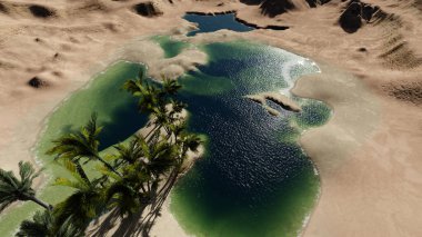 3D görüntüleme - Oasis in the Deser