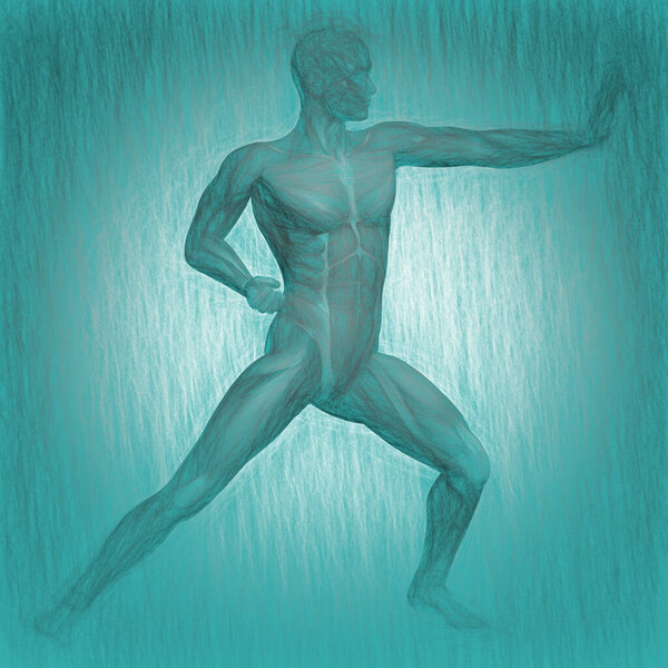 3d illustration of human body anatom