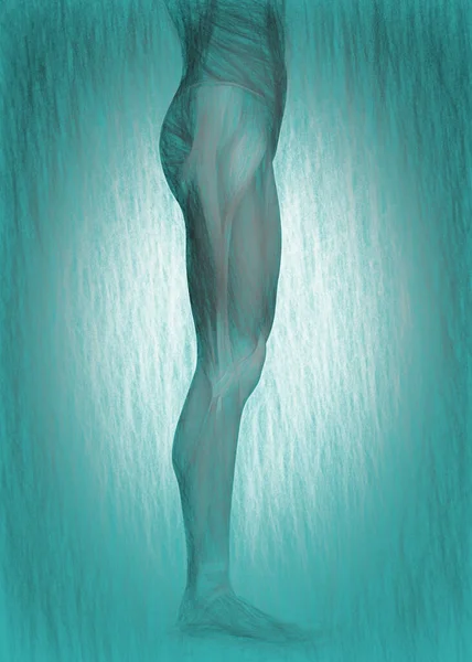 人体解剖学の3Dイラスト — ストック写真