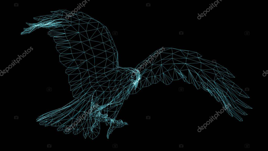 Eagle wire frame on black background