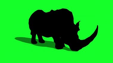 Siluet - Gergedan boşta ve Yeşil Ekran 3D Canlandırma Hayvanı Saldırısı