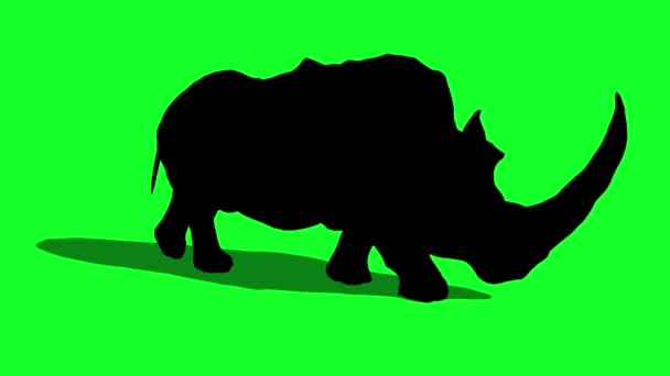 Silueta Rhinoceros Walkcycle Side Green Screen Rendering Animación Animales — Vídeo de stock