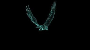 tel çerçeve 3d animasyon Falcon süzülen ve kanat çırpma yeşil ekran izole 
