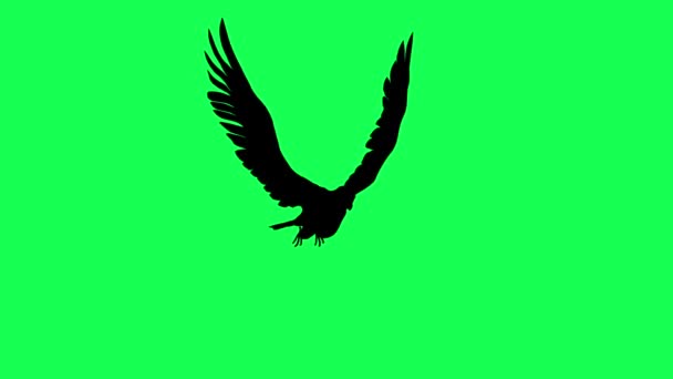 Animation Silhouette Falcon Gliding Flapping Isolated Green Screen — Stock Video