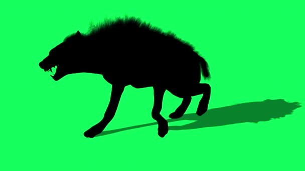 Animacja Sylwetka Hyena Walk Zielonym Ekranie — Wideo stockowe