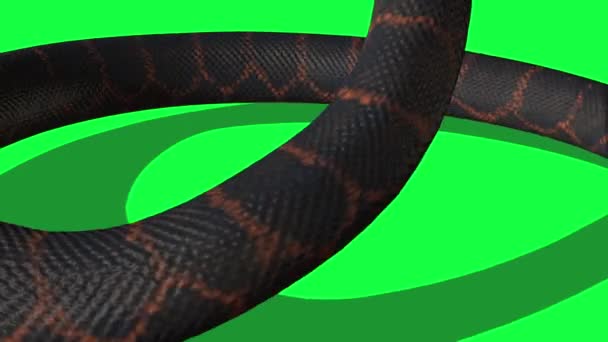 Animierte Python Schlange Mit Grünem Hintergrund — Stockvideo