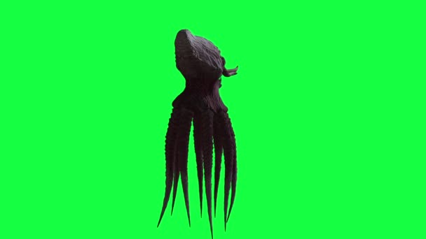Animace Monster Octopus Zelené Obrazovce — Stock video