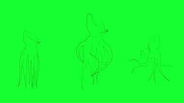 Yeşil ekranda Canavar Ahtapotların El Çizimi Canlandırması