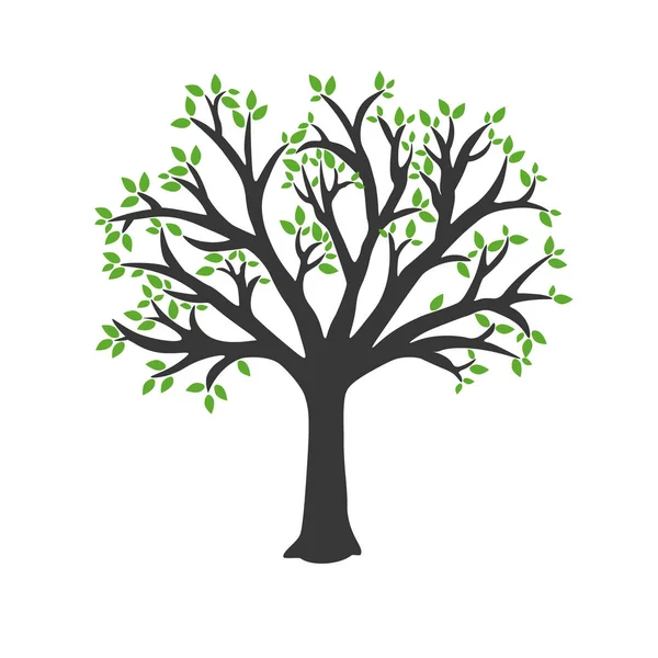  Vektör ağaç, yeşil yaprak
